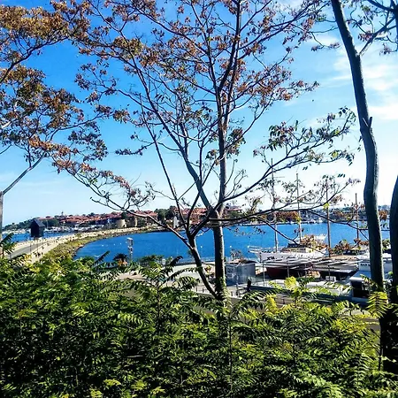 Vigo Nesebyr